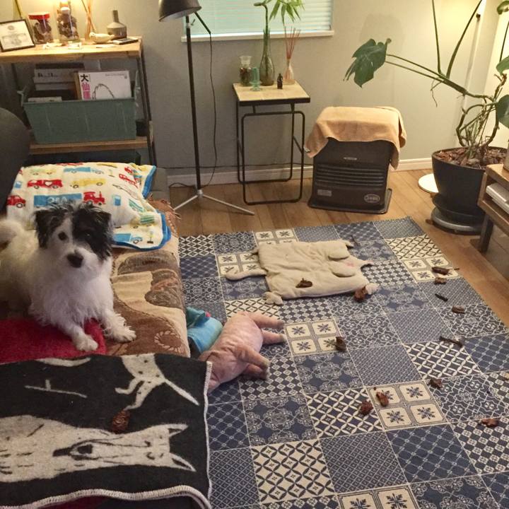 Fb379511 4b33 4667 996b f9e9924a2b29