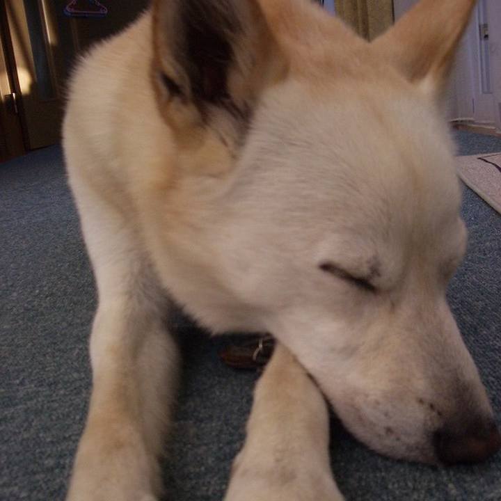 Fb37a455 cfba 43b8 a8f7 46761a9a137b