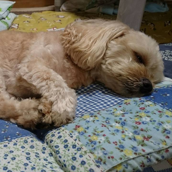 Fb37f23d 1a58 4d17 825e 887d29dbcc2e