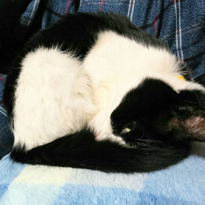 Fb384aac 826d 45c2 9bf6 ce9b1172ebba