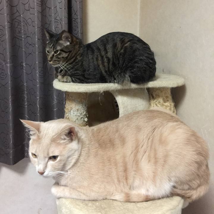 Fb386bdc d8be 430a 8bf6 fd4f4904bd49