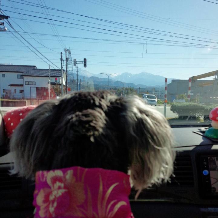 Fb38f94c 6011 47c4 b7f9 c93c5830a6ea