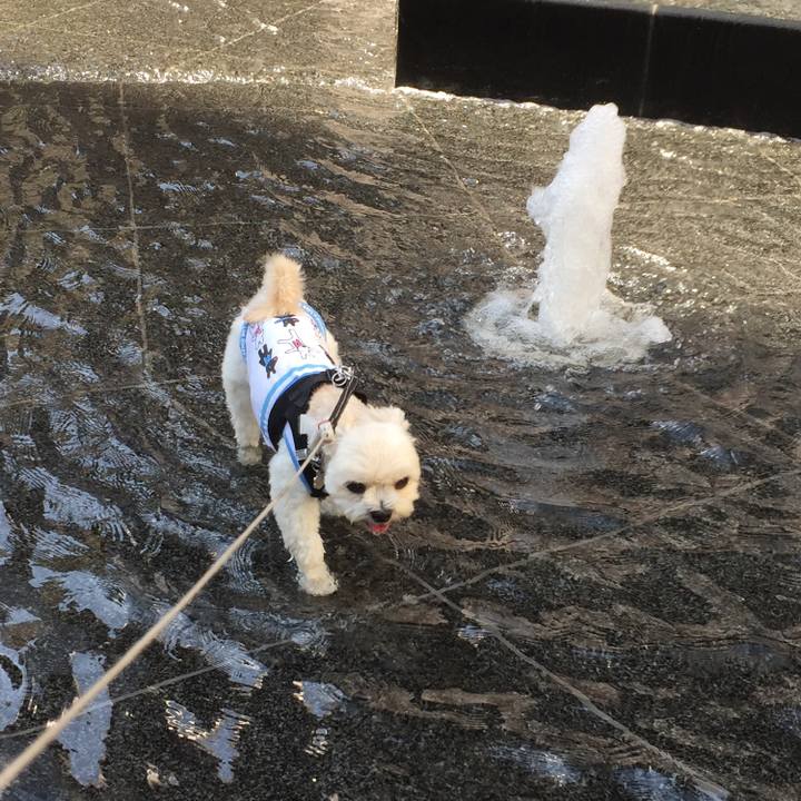 Fb3972bb 3bde 4513 9cf9 d1c358377182