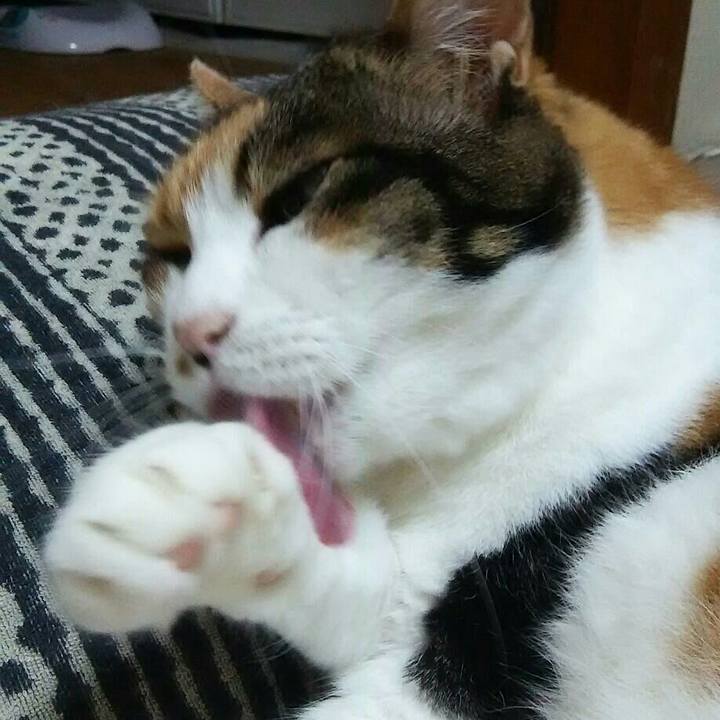 Fb398024 e510 4f03 adfe 1721179ec80e