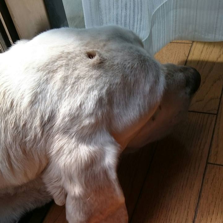 Fb39f2f6 fea5 4045 b4cb bf4ef941da5f