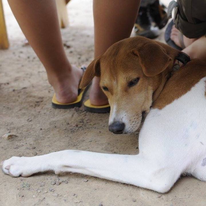 Fb39f513 1aae 4ff8 a40f 13ec40b3ff1e