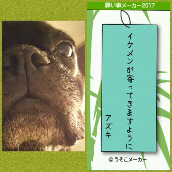 Fb3a1f03 7edb 4441 9315 d11c4e0827ba