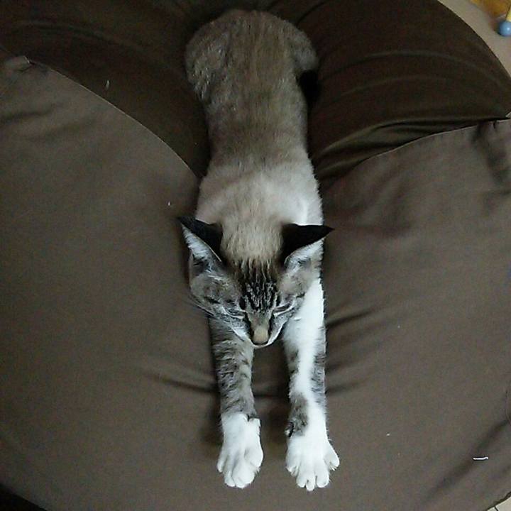 Fb3aa465 5994 40e8 8ca2 fac9a0a9eb4b