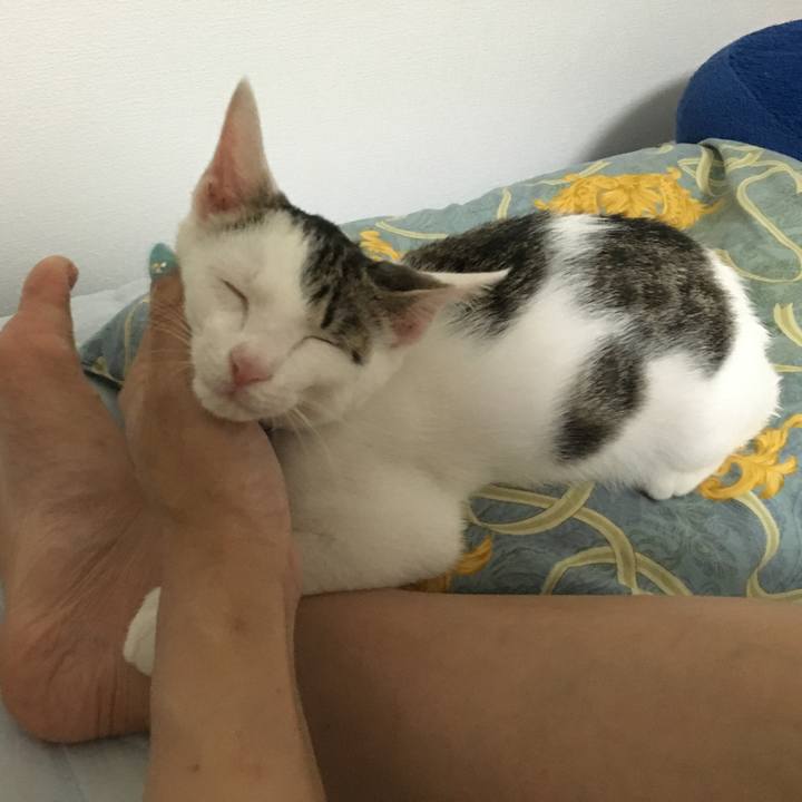 Fb3b7f55 88c7 4fd9 9ca3 10172d65562c