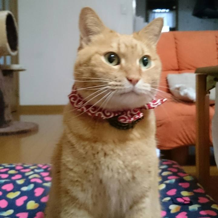 Fb3c88f7 168f 4462 9643 0c06f0ecc6a6