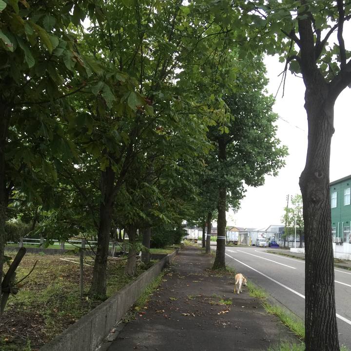 Fb3ca8b7 63c9 4acc af82 1850c194f677