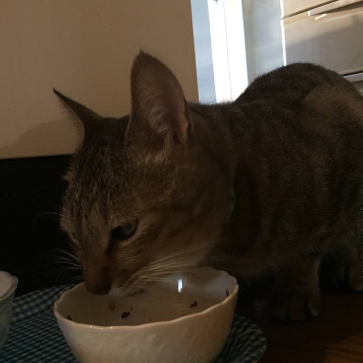 Fb3cfb40 cbbf 453f 94b1 d9313b21aaee