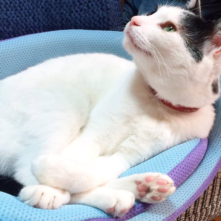 Fb3d0bd9 d004 47dd a8e9 7cf738444087