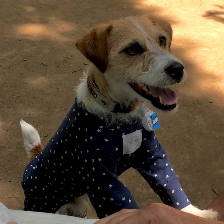 Fb3d6200 07e0 4e73 8af7 bd68f9b87d00