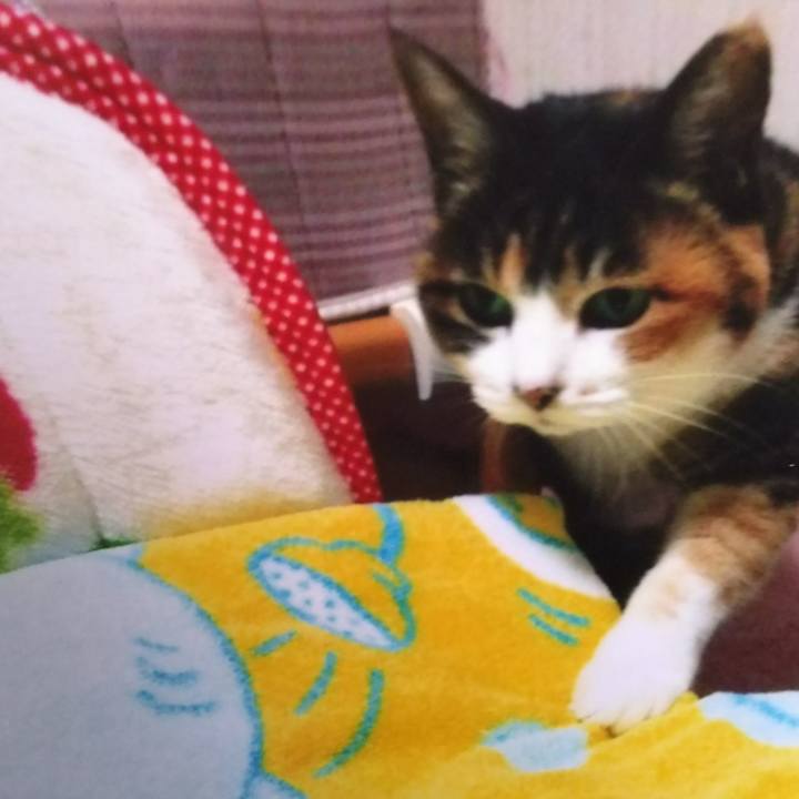 Fb3d7711 134d 4d6b a452 1dfe7e578c05