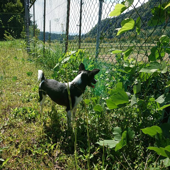 Fb3d7ac9 56c9 4ac6 8325 0bb6c7a92274