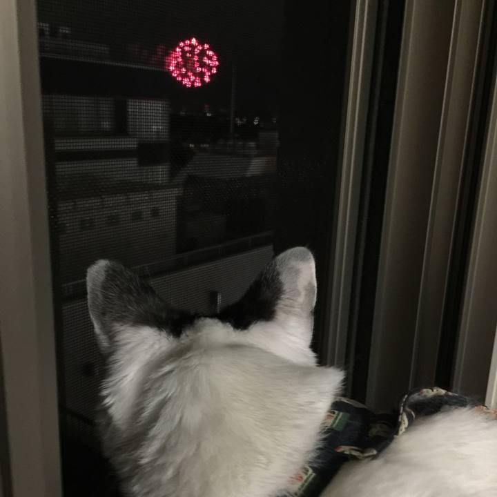 Fb3d8e3c 122e 4e92 a315 ef522e052987