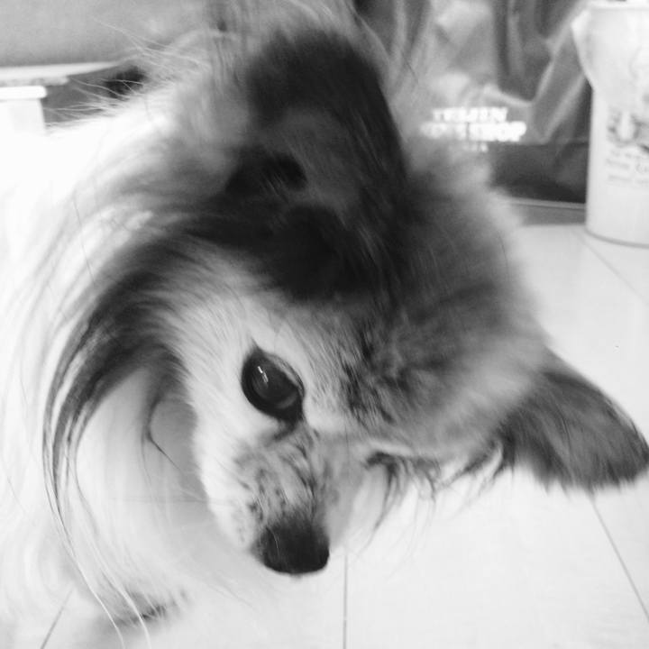 Fb3ddeb8 bacb 4be3 a823 9ec59b79b4d5