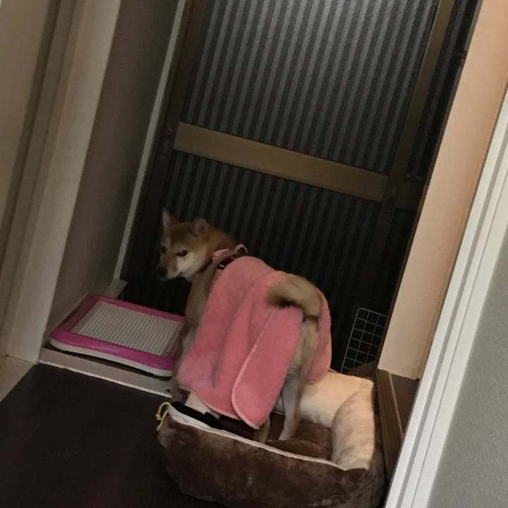 Fb3e82d5 813d 43d5 8fb7 bb0cad0fd630