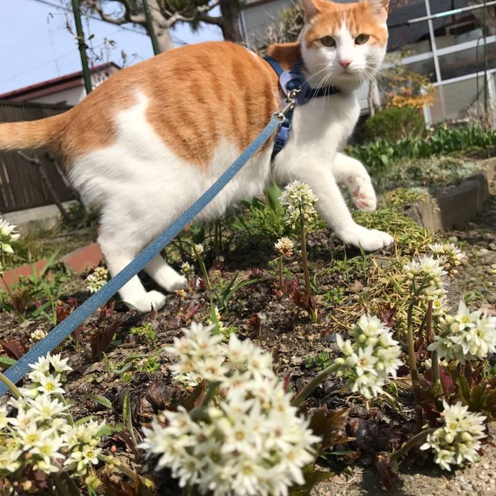 Fb3f5754 57a8 4cc0 82fa cbdebec1d68b