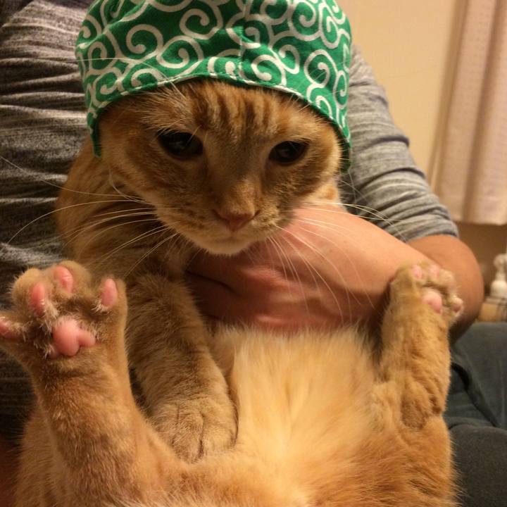 Fb3f6eb7 6679 4c11 a334 299870c81408