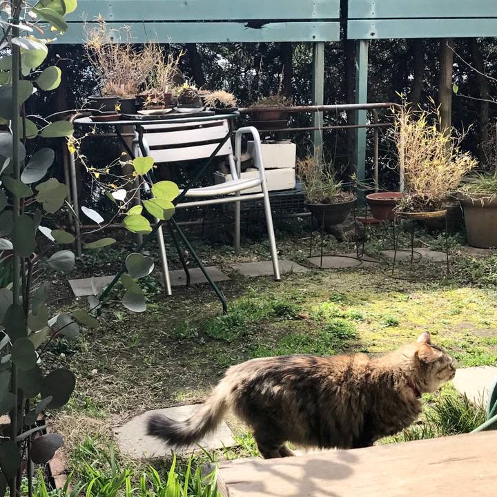 Fb40c089 18f1 4ed3 a013 6f06cb43e0f7