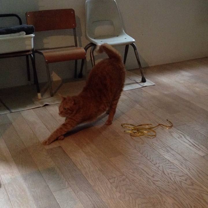 Fb412d6b 061e 44a5 b3f9 e76079eeaa28