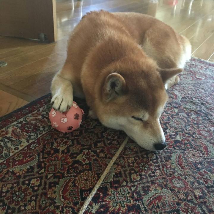 Fb417d04 3ff6 4054 999f 35c5251af71b