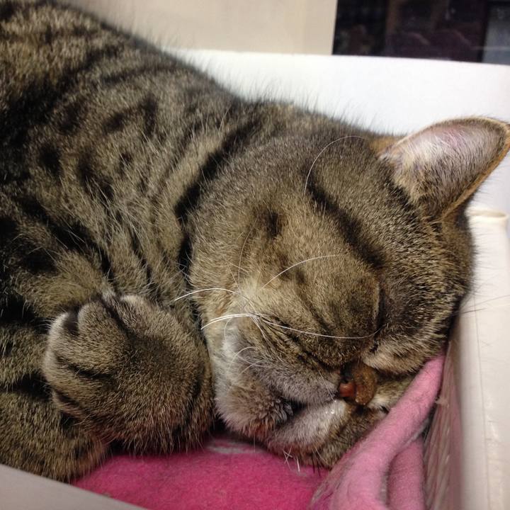 Fb419302 f923 4da8 ac4b f377a4a489e4