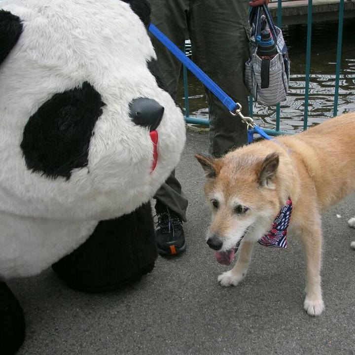 Fb41ccfd a30e 486d b65d 2b62323895b0