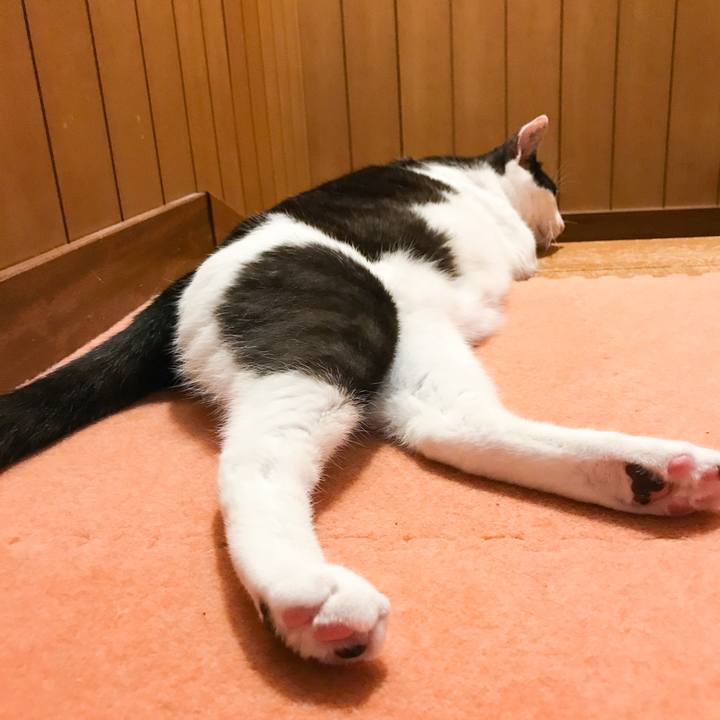 Fb423732 6753 47d3 96fe f642fe7ff353