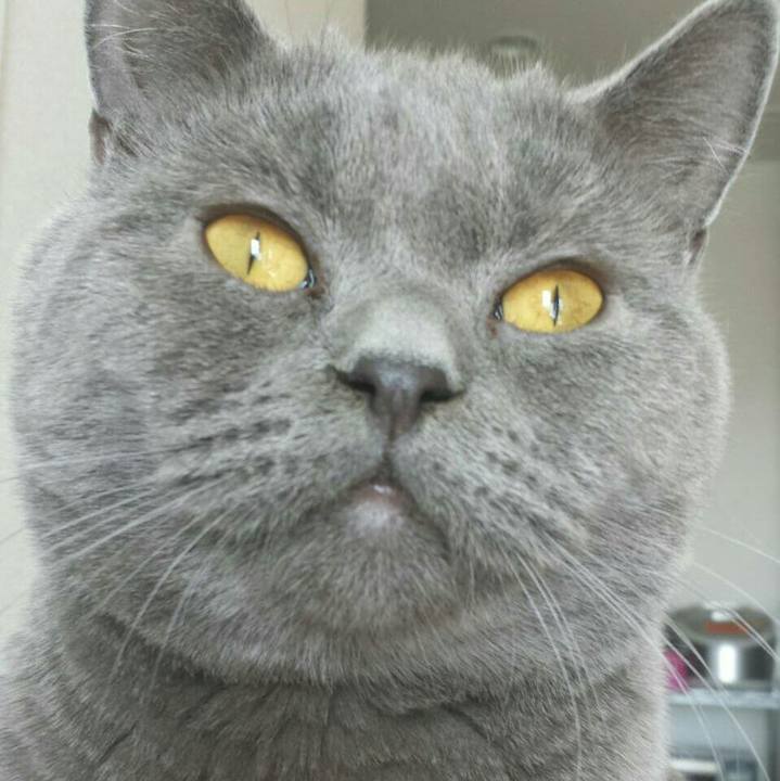 Fb429761 7075 4e0c b906 5c7a57770501