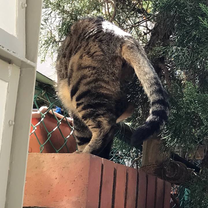 Fb43b3f8 c192 4f85 8be6 f88f78c50693