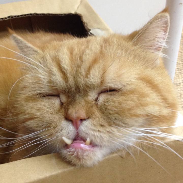 Fb4416e0 109c 4263 baf9 b98c741cdfff