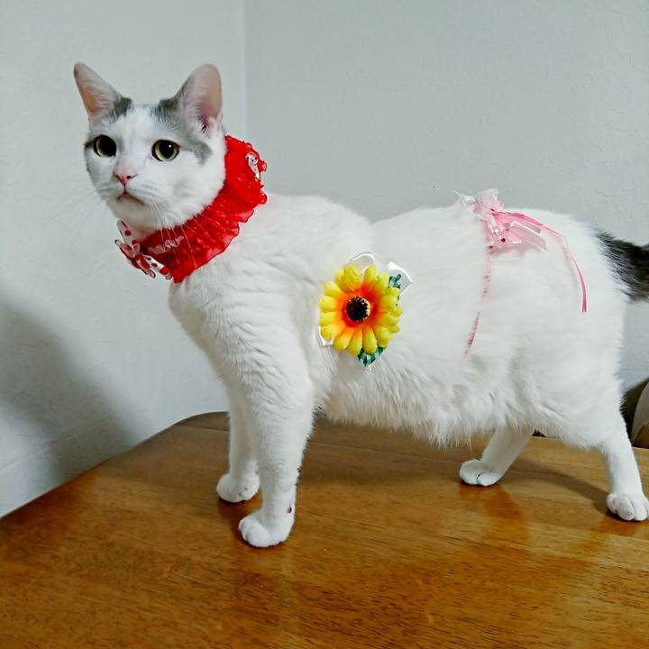 Fb4420dc cf46 40cb 81ea 1cfe019a057c