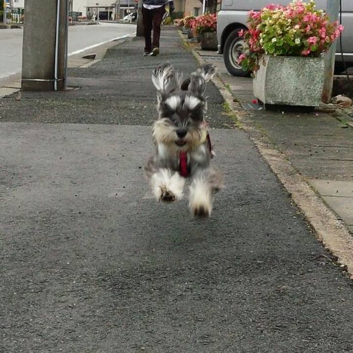 Fb44347f 8df7 4ba7 8aaa 3cf05a6681a2