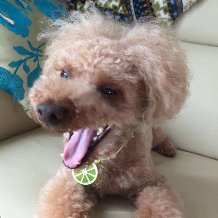 Fb448379 c90f 4a67 8ac7 315d4bab6b81