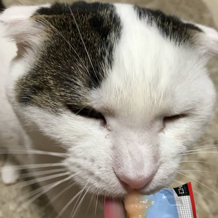 Fb45117e 334e 48fc 9e33 4d7f34f4e4ce