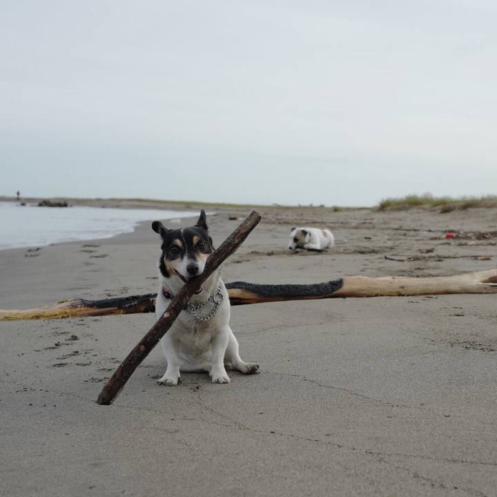 Fb452527 75aa 4190 b1ed df98e7b0e8a7