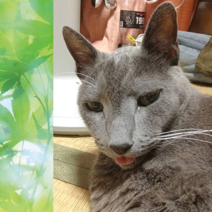 Fb453aeb f5be 4dd0 9b01 0facb6886b2d