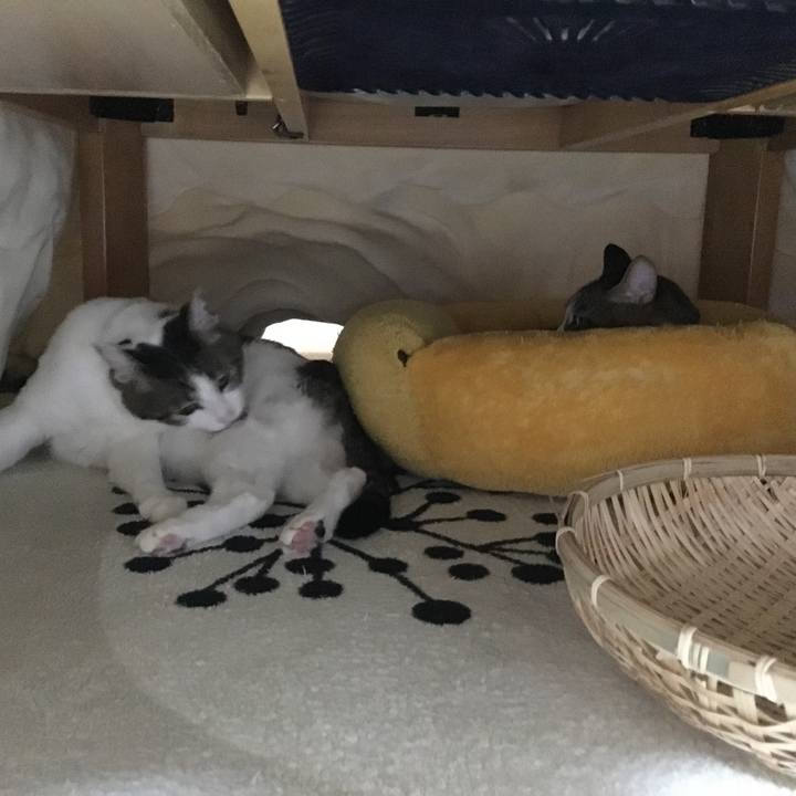 Fb45d994 78f0 4249 ba2c 338c8e5e5e2a