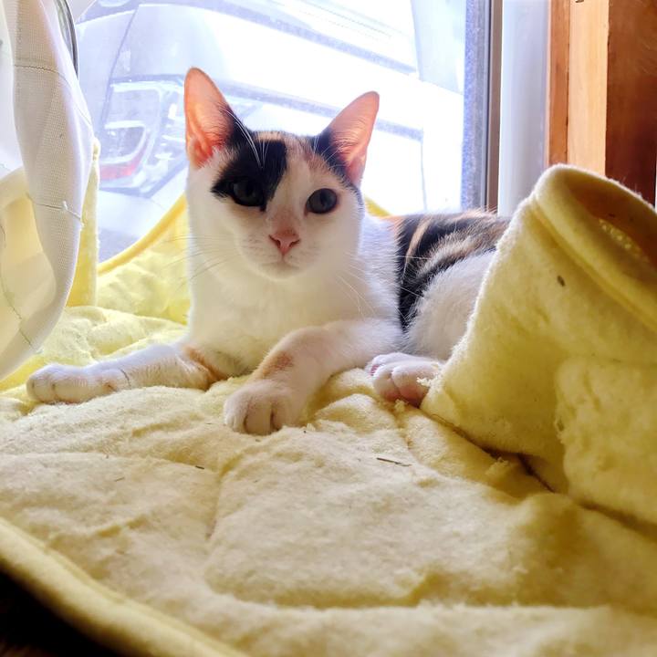 Fb4663bf f54e 4a6d 9c61 042bba923a51