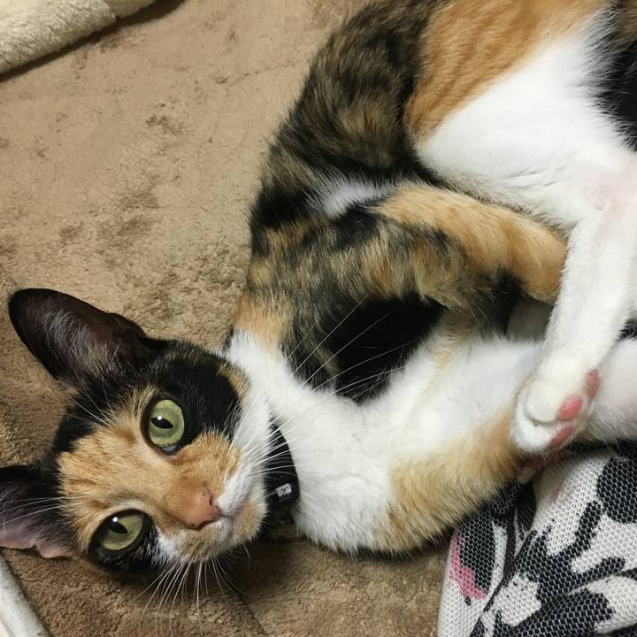 Fb466c1e 445a 4c1a 9831 80c21e65ead9