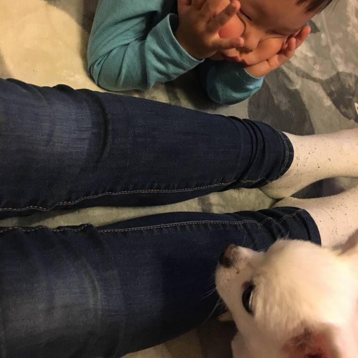 Fb466cfa 9e06 4193 a627 39111c0025ed