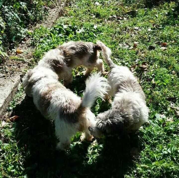 Fb469757 5667 4012 b3f0 9fecdb159d65