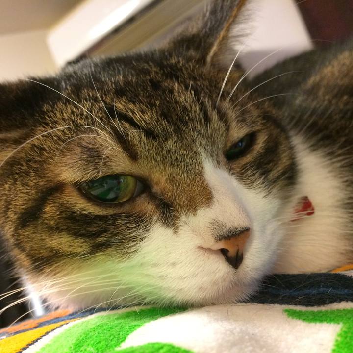 Fb46b185 cb8b 407b b6f2 ca98c179a617