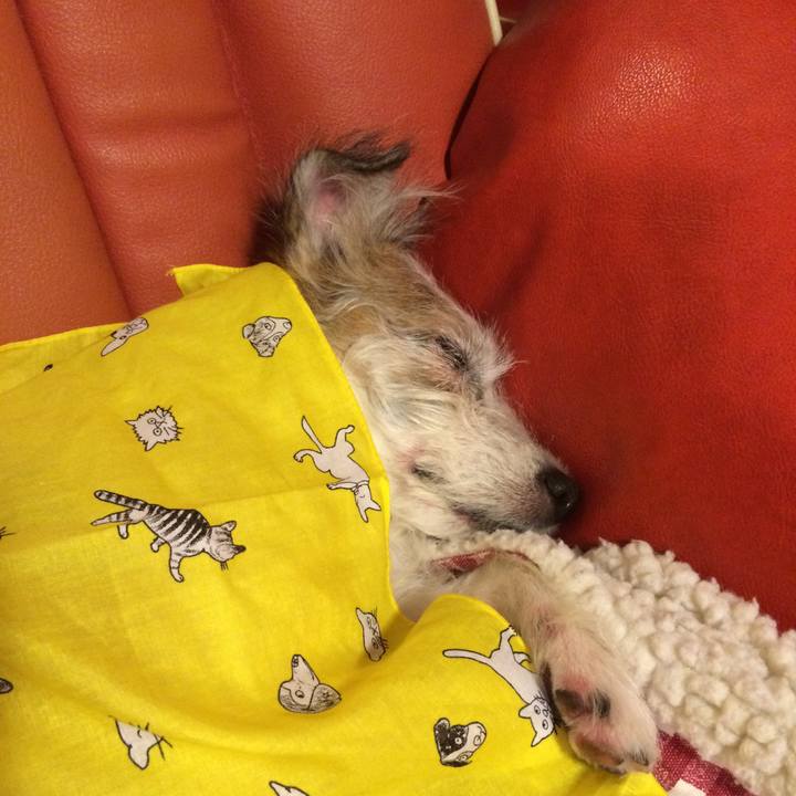 Fb46eaa7 0086 4f5d b684 46a43fe702c8