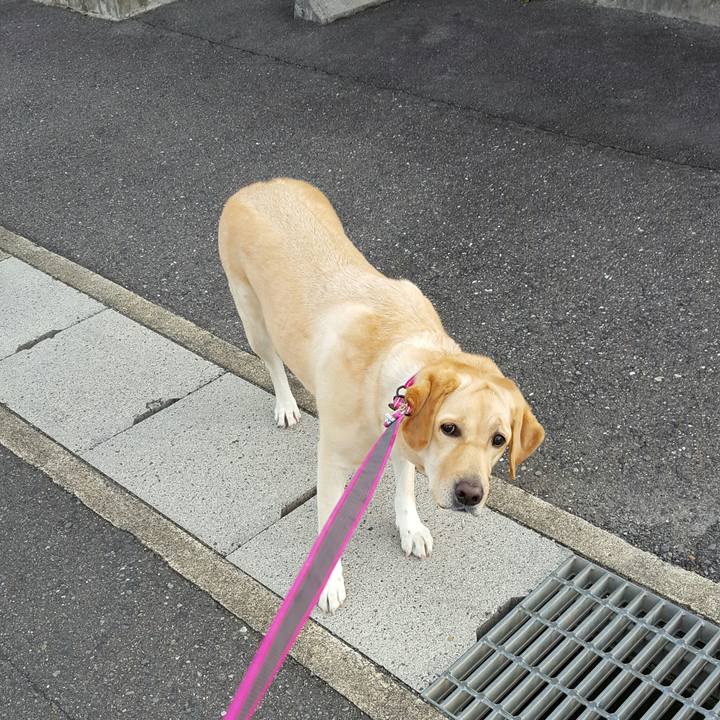 Fb472cc8 b87a 4319 87bf e8690b26b5fb