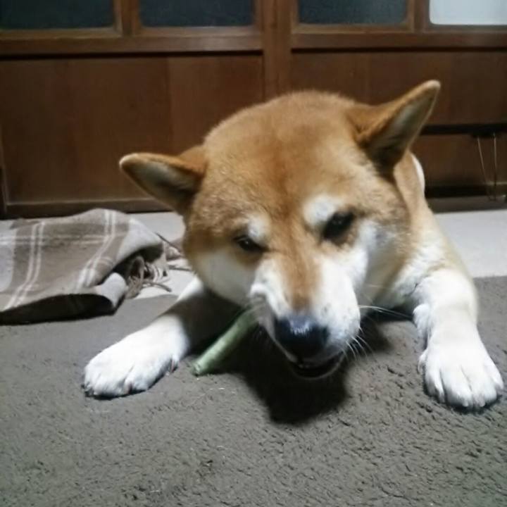 Fb474ce1 74f0 47bc 9c4a 0a6f79a16dc4