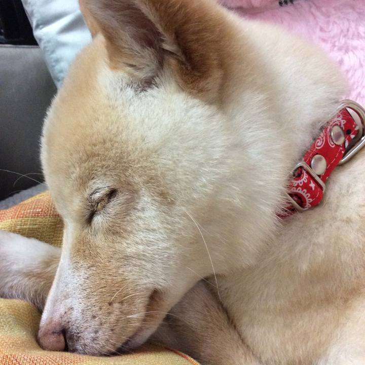 Fb486629 e85b 4c32 a7fe d5a4ef8659f4